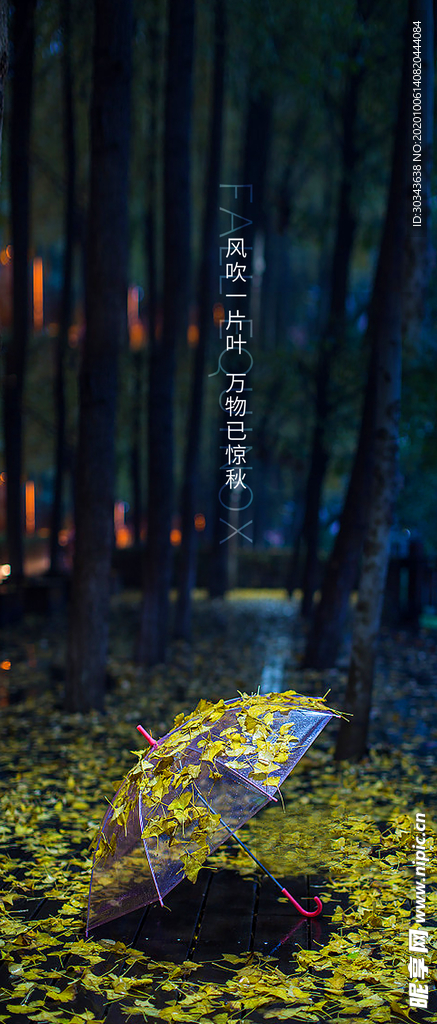 寒露 二十四节气 地产