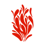 火焰