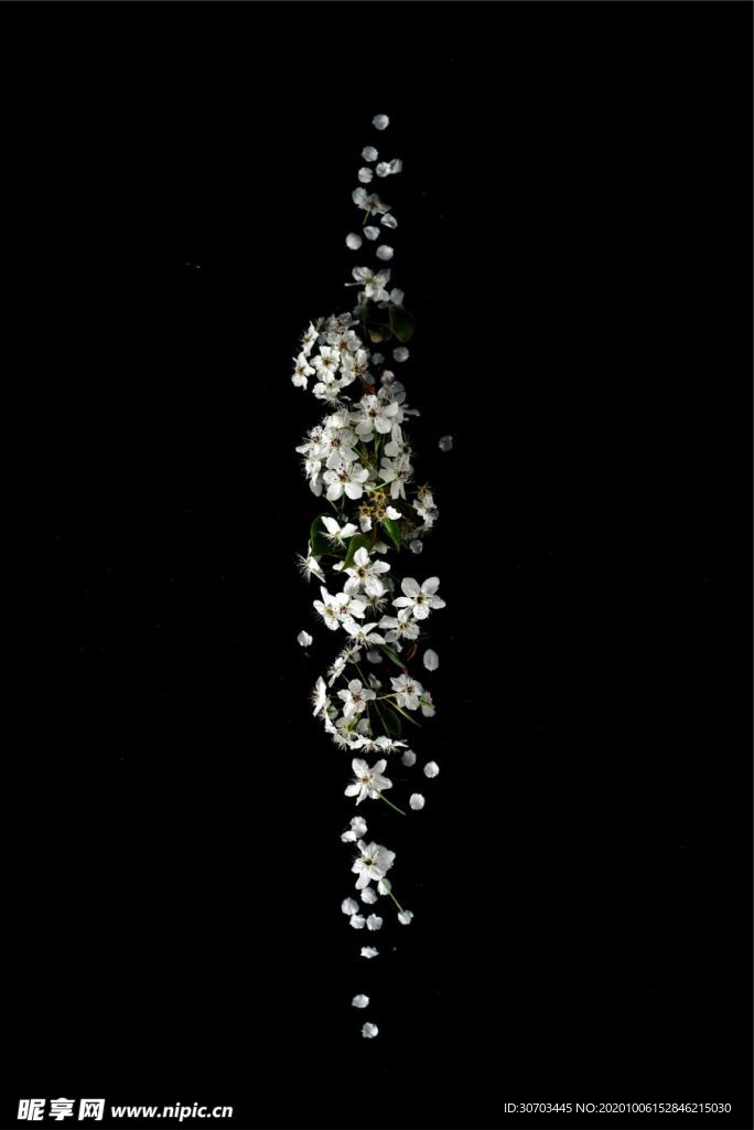 黑白