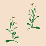 小花背景