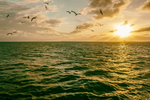 海面阳光