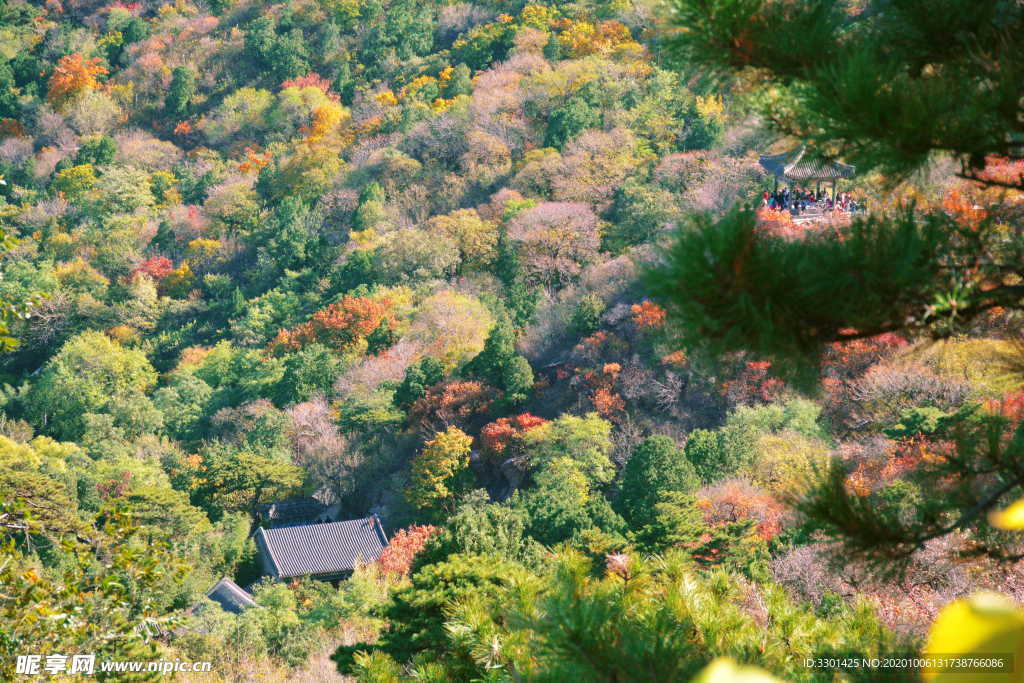 北京香山公园