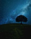 夜晚星空