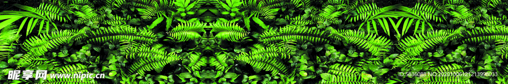 蕨叶草本植物绿叶背景图