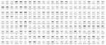 200种字体