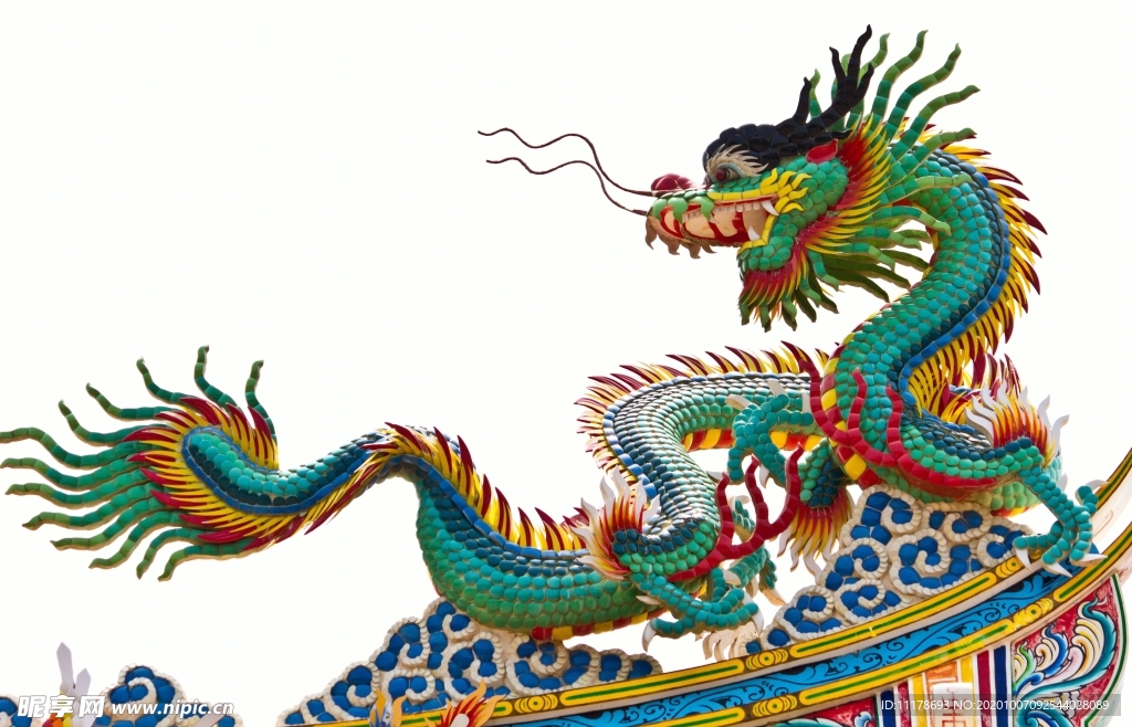 龙