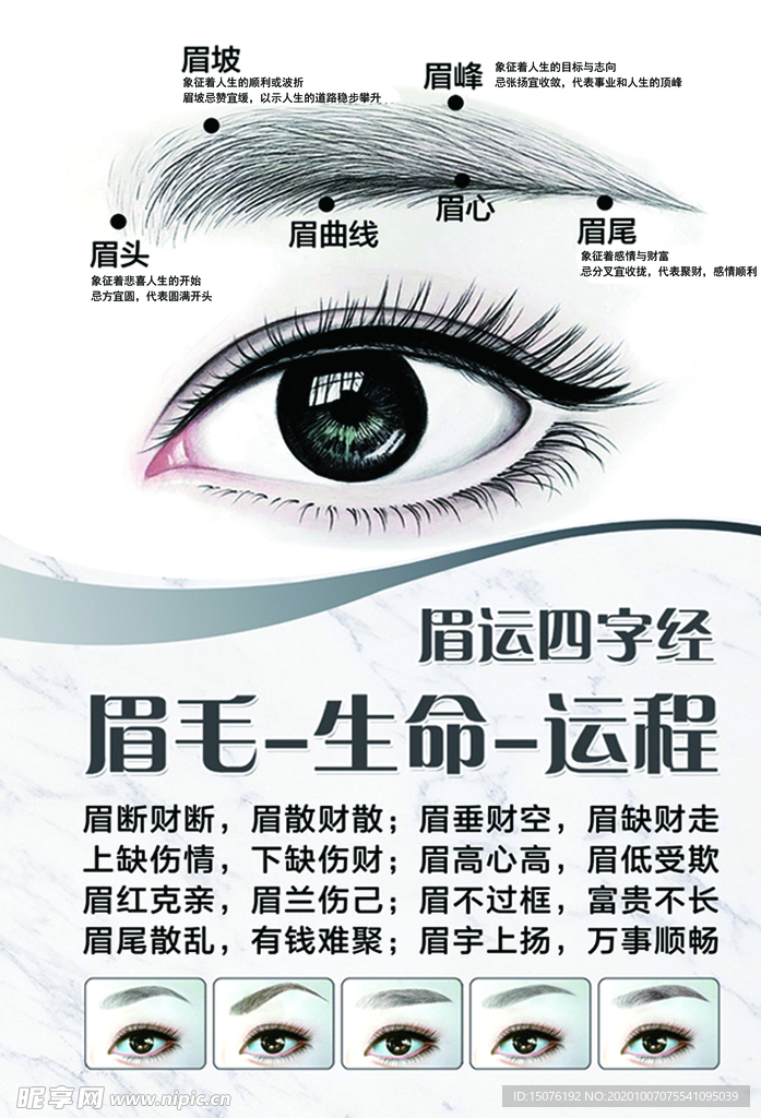 眉毛图片