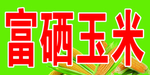 富硒玉米