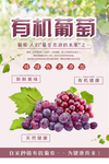 葡萄