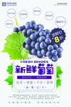 葡萄