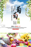 葡萄