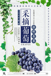 葡萄