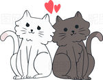 猫咪