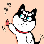 哈士奇