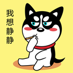 哈士奇