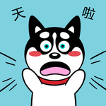 哈士奇