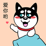 哈士奇
