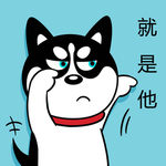 哈士奇