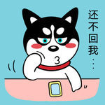 哈士奇