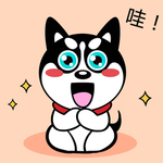 哈士奇