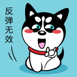 哈士奇