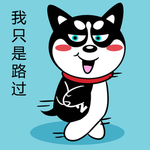哈士奇