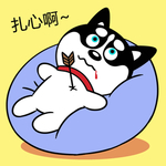 哈士奇