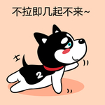哈士奇