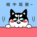 哈士奇