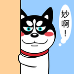 哈士奇