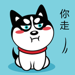 哈士奇