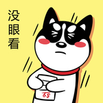 哈士奇 狼 狗 小狼 大灰狼