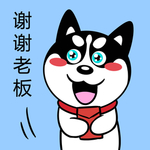 哈士奇