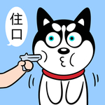 哈士奇