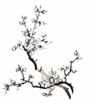 梅花国画