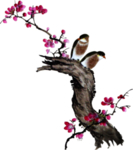 梅花国画
