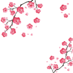 梅花国画
