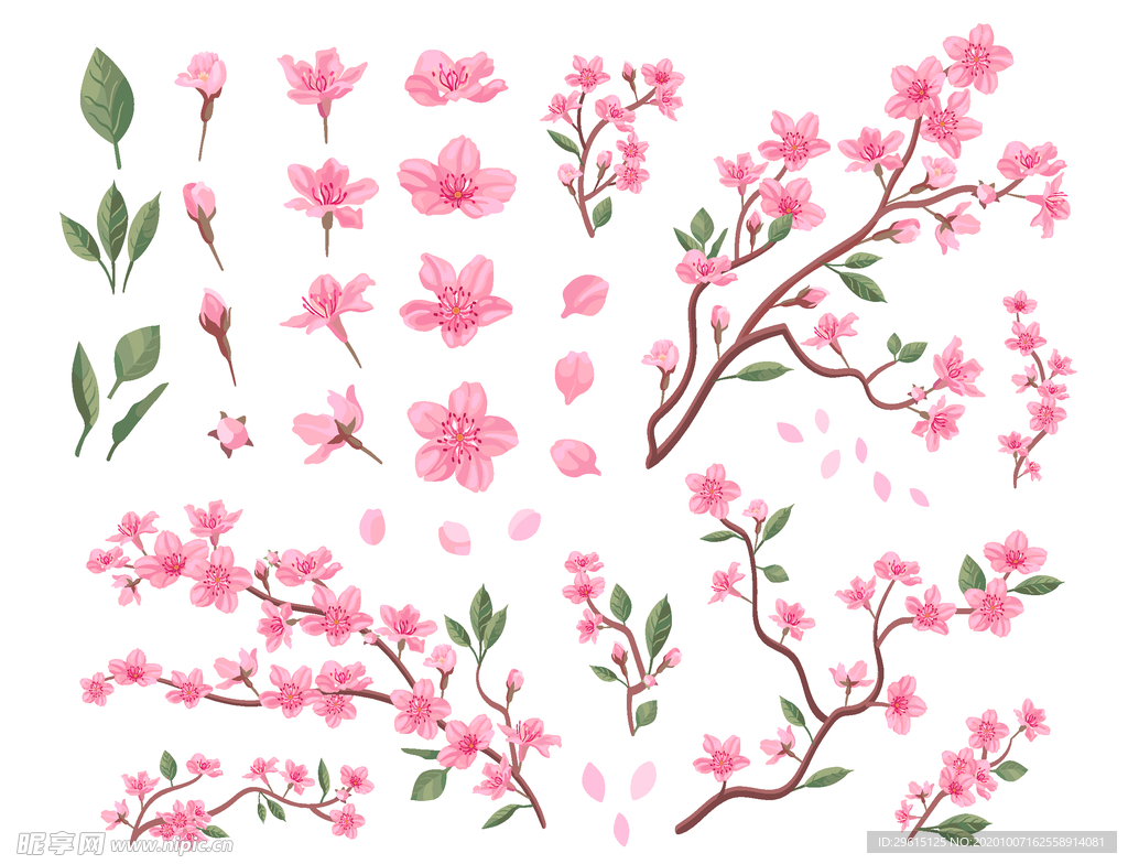 樱花矢量图