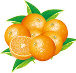 橙子