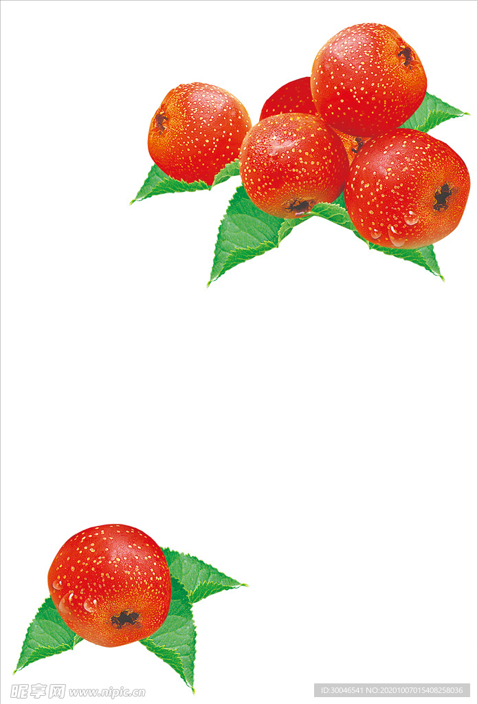 山楂