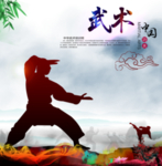 武术海报