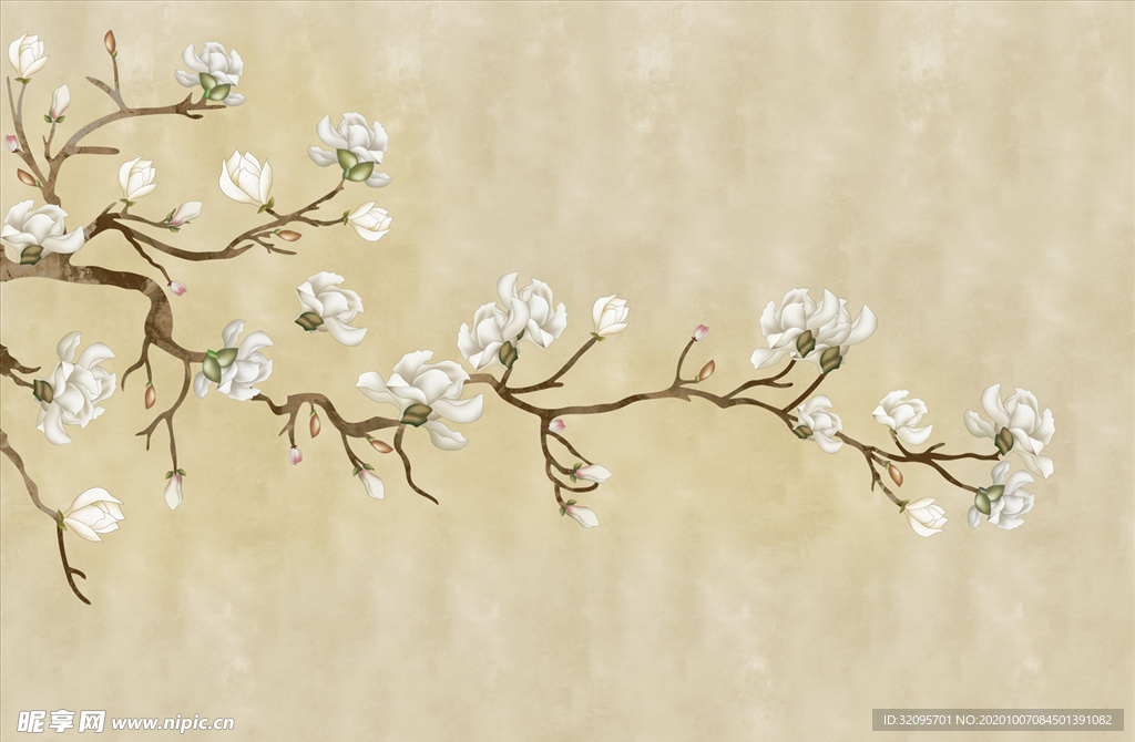 花鸟画 玉兰 背景墙