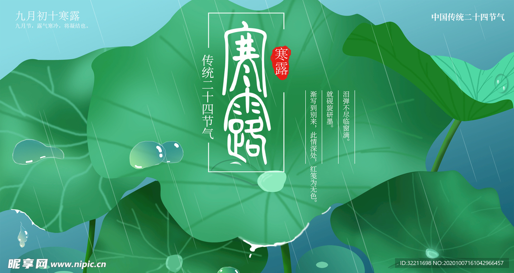寒露 荷花