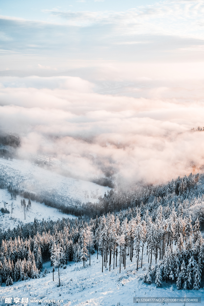 雪地