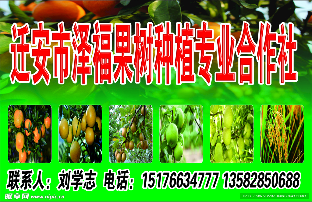 果树种植