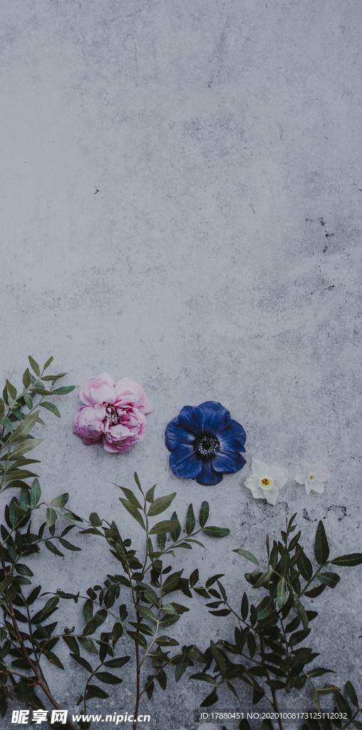 花卉