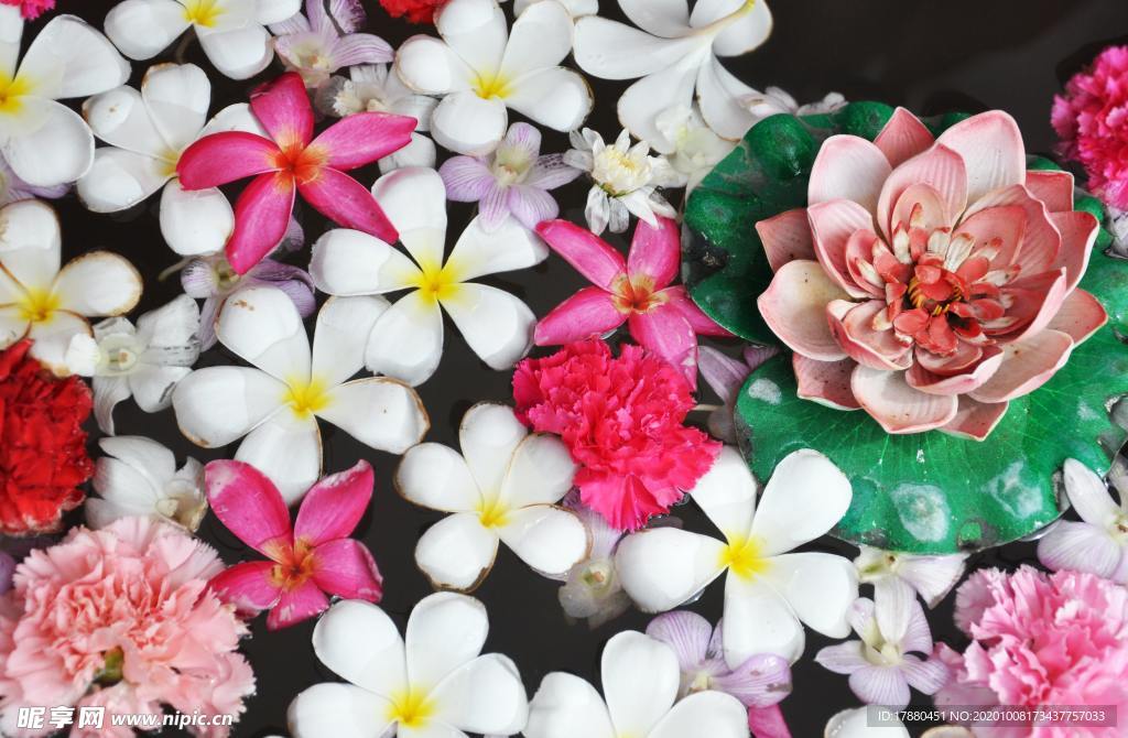 花卉