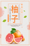 柚子