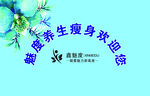 减肥背景墙