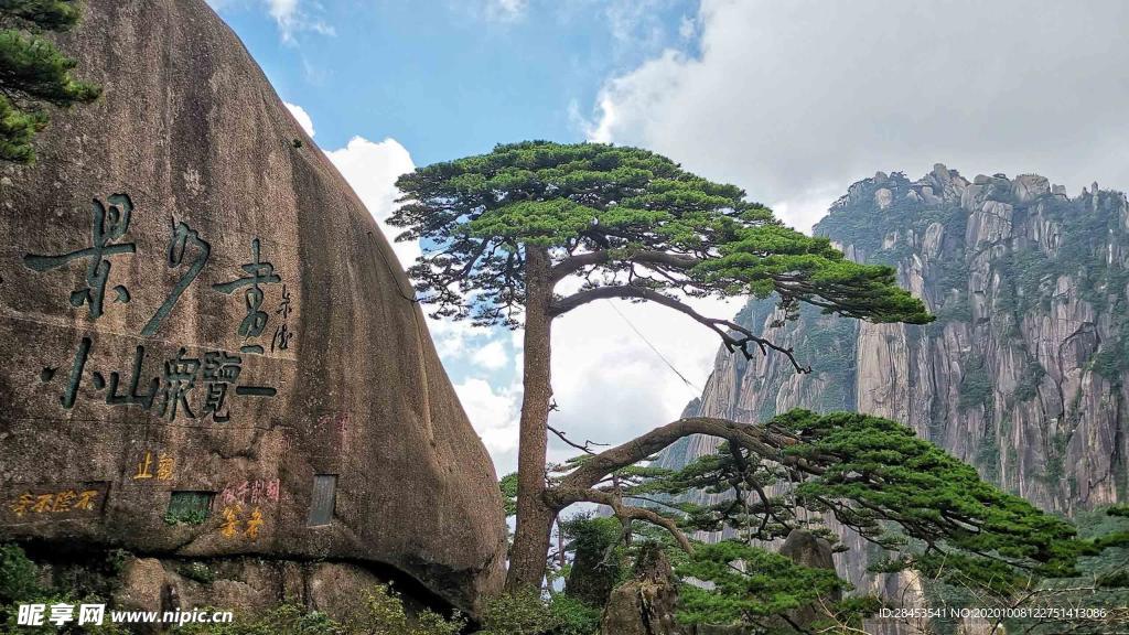 风景
